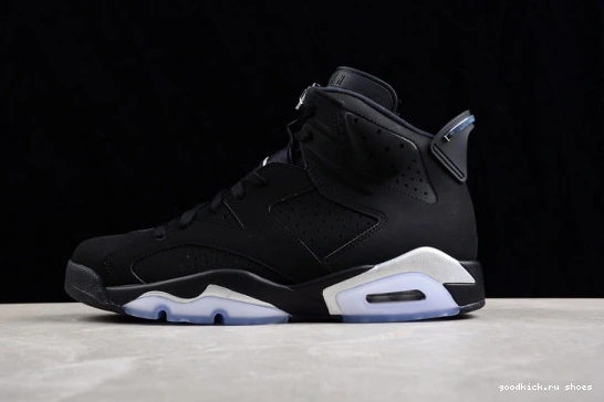 Jordan Retro DX2836-001 6 DX2836-001 Silver Metallic 0306